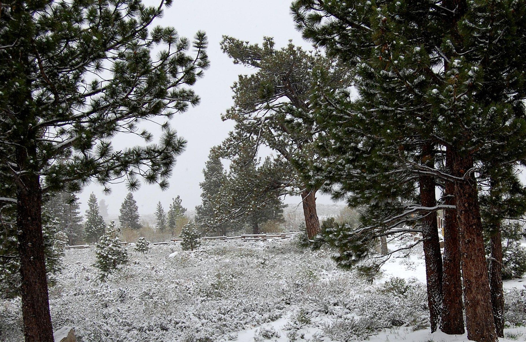 The Mammoth Creek Inn Mammoth Lakes Eksteriør bilde
