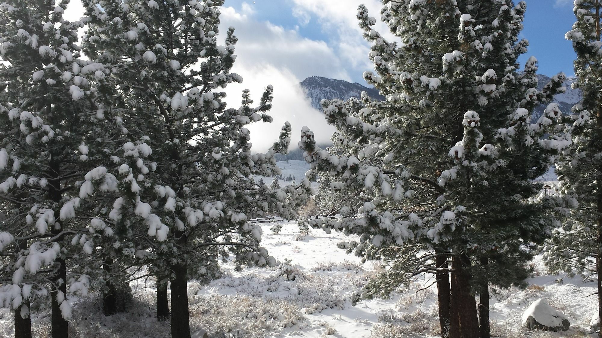 The Mammoth Creek Inn Mammoth Lakes Eksteriør bilde